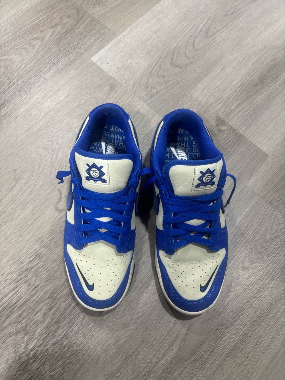 Nike Royal Blue and White Low-Top Sneakers